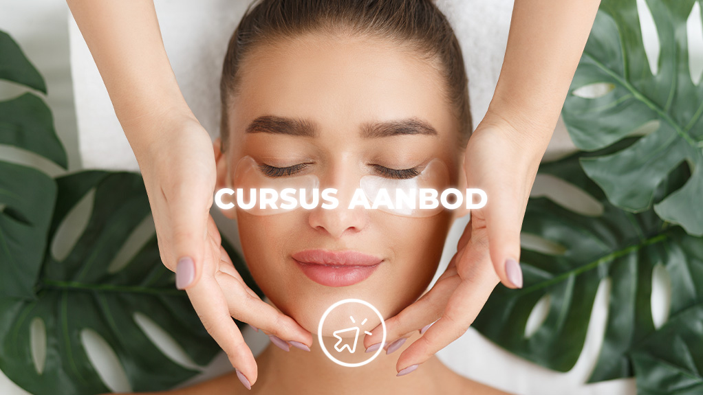 Cursusaanbod